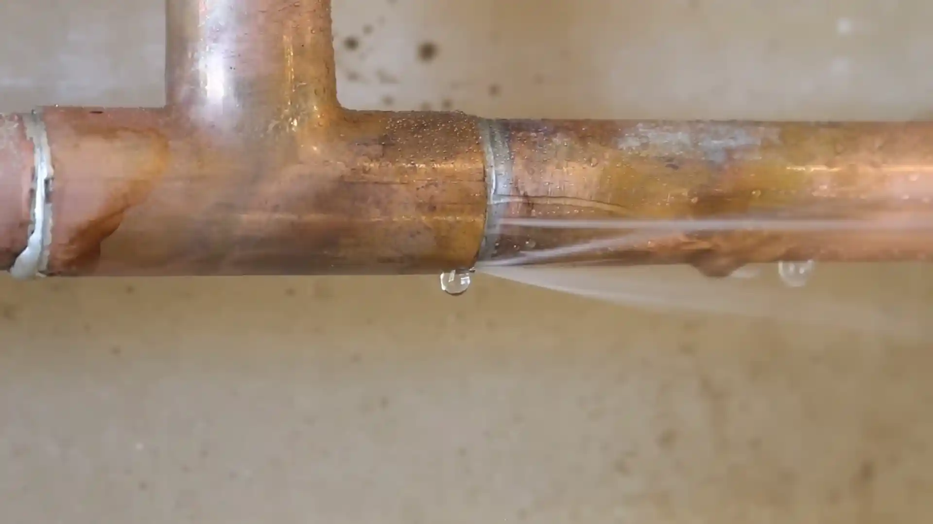 section of corroded copper supply pipe showing pinhole pitting from a Pinery home